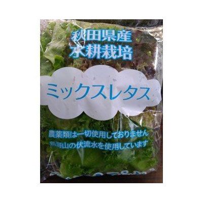 きれいな水で育てた新鮮レタスセット400g（100g×4袋 野菜 小分け） 