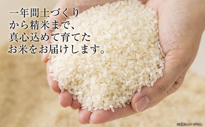 【令和8年産 新米】 新潟県 魚沼産 コシヒカリ お米 5kg 精米済み（お米の美味しい炊き方ガイド付き） こめ 白米  こしひかり 食品 人気 おすすめ 送料無料 魚沼 十日町 十日町市 新潟県産 産直