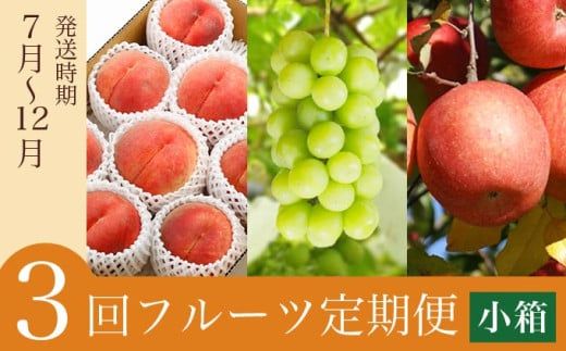 ［3回定期便］ 信州のフルーツ3回コース 小箱 ［小布施屋］ 定期便 先行予約 フルーツ 数量限定 白桃 シャインマスカット ぶどう りんご お楽しみ 3回お届け 長野県産 信州産 令和8年産 【2026年7月～12月発送】