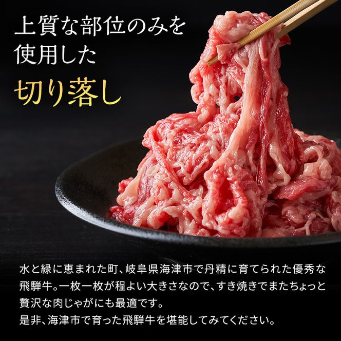 飛騨牛 岐阜県産 すき焼き 切り落とし 500g 牛肉 すきやき お肉 冷凍 