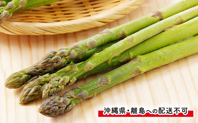 【2027年4月～発送】富良野産 採れたて直送! グリーンアスパラ 「雫」2L～Lサイズ【約1kg】 (清水farm) アスパラ アスパラガス 野菜 新鮮 季節限定 北海道 富良野 ふらの