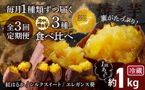 【ジャパンフードセレクション 金賞】（全3回）毎月1種類ずつ届く 冷やし焼き芋定期便 約1kg×3回（計3種） 芋スイーツ H047-038