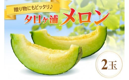 【先行予約／数量限定100】夕日ヶ浦メロン2玉（2026年7月中旬～発送）　JK00030