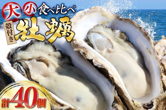 y{錧OzyԌ蔭z kt y v40 2(OWICX^[  OMAKI ) Hה Zbg e20 yiCtt [Geoyst {錧 O m304bdz670001]  JL ICX^[ y ^y