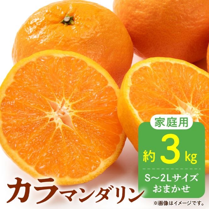 DZ6213_秀品 カラマンダリン なつみ 和歌山 有田 秀品 S～2Lサイズ 大きさお任せ 約3kg