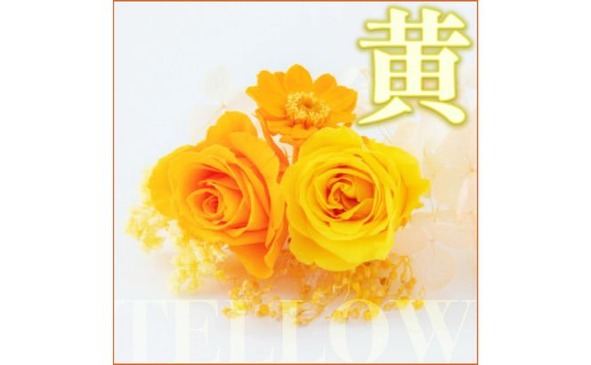 【ガラスケース入り】プリザーブドフラワー【※ご希望の色をお選びください】