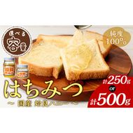 a1002 《期間限定！2025年4月下旬～10月中旬の間に発送予定》選べる容量！姶良ハニー(250g・500g)【原電設工業】姶良市 国産 ハチミツ はちみつ 蜂蜜 百花蜜 蜜 常温 常温保存