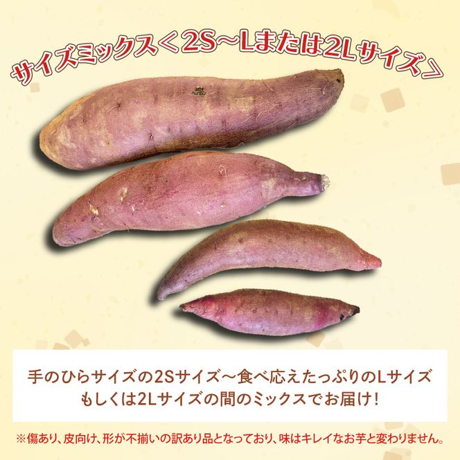 茨城県産 紅はるか 訳あり サイズミックス　約10kg｜訳あり わけあり 訳アリ さつまいも サツマイモ さつま芋 紅はるか べにはるか 芋 いも 茨城県産 行方市(FU-4)