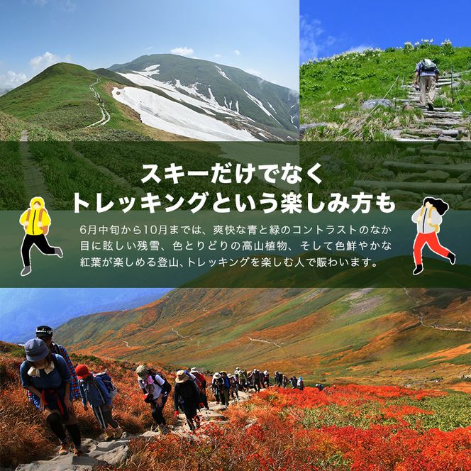 FYN6-542 月山スキー場ペアリフトで使える リフトご利用券 45000円分 月山スキー 月山登山 スキー 登山 山登り ハイキング トレッキング 旅行 体験 チケット 山形県 西川町 月山