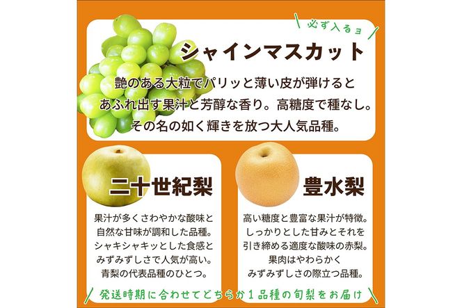 田園紳士厳選 シャインマスカット・梨セット 果物 フルーツ シャインマスカット 梨 セット 詰め合わせ ふるさと納税 シャインマスカット ふるさと納税 フルーツ セット　DE00142