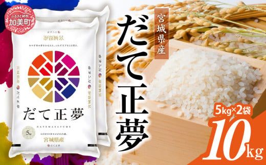 y{錧zĐ 10kg (5kg×2jߘa7NY  {錧Y   [ JC {錧  ]    R   Ă܂ނ | km-dm10-r7