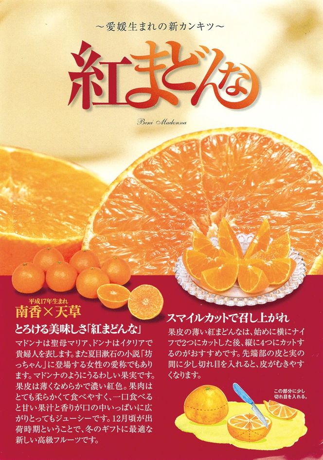 【先行予約】【贈答用】紅まどんな（2.5kg/Mサイズ）※離島への配送不可（2026年12月上旬より順次発送予定） IKTBD003
