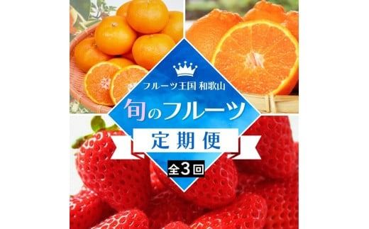 【全3回定期便】フルーツ大国和歌山よりお届け！旬のフルーツ定期便A【田村みかん・まりひめ・紀州デコ】 / フルーツ 果物 みかん いちご 旬 定期便 【tkb350】