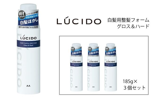 マンダム ルシード 白髪用整髪フォーム グロス＆ハード 185g MA-102
