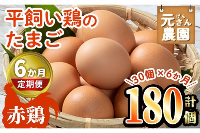 y啪szցES6 (A)Ԍ{̂܂ (180ES-MTCY30×6) _  ʎq  ʎqĂ  { { {{꒼ ̂ VN 啪 s yGE005zy ()Cz