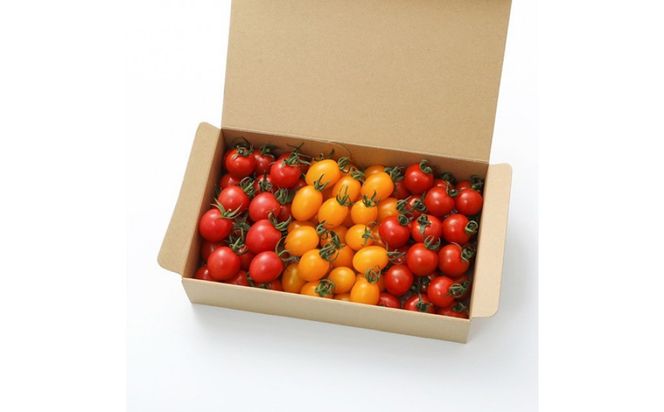 【先行受付 2025年12月発送】トマトが苦手な子でも食べれちゃう！高糖度 完熟フルーツトマトとミニトマトの食べくらべセット　1.2kg こだわりの減農薬  糖度8～13度 リピーター多数 大容量 コスパ 新鮮  人にも地球にも優しいトマト 222232_BR003