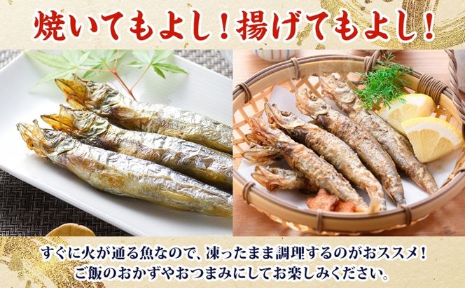 北海道産ししゃもメス大大30尾 北海道 稀少 魚シシャモ メス おつまみ 魚貝類 干物 本物 人気 希少 塩 味付け 脂のり 旨み 美味しい 大きい 