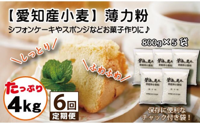 【小麦粉】碧海の恵み 薄力粉 国産 愛知県産 800g×5袋(計4kg) 定期便6回 スポンジ シフォンケーキ 菓子用 小麦 お好み焼き 天ぷら たこ焼き 保存に便利 チャック付き H008-293