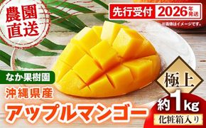 【化粧箱入り】【先行受付・2026年発送】なか果樹園 アップルマンゴー 極上 約1kg - 産地直送 先行予約 沖縄県産 贈り物 ギフト プレゼント 南国フルーツ 旬の味覚 オススメ 沖縄県 八重瀬町
