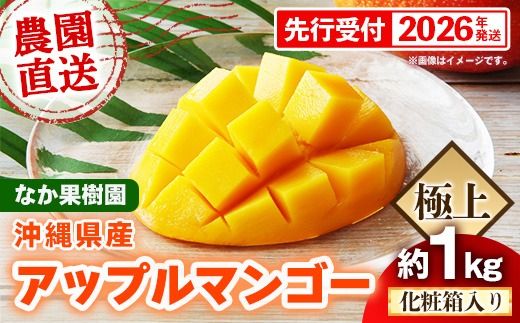 【化粧箱入り】【先行受付・2026年発送】なか果樹園 アップルマンゴー 極上 約1kg - 産地直送 先行予約 沖縄県産 贈り物 ギフト プレゼント 南国フルーツ 旬の味覚 オススメ 沖縄県 八重瀬町