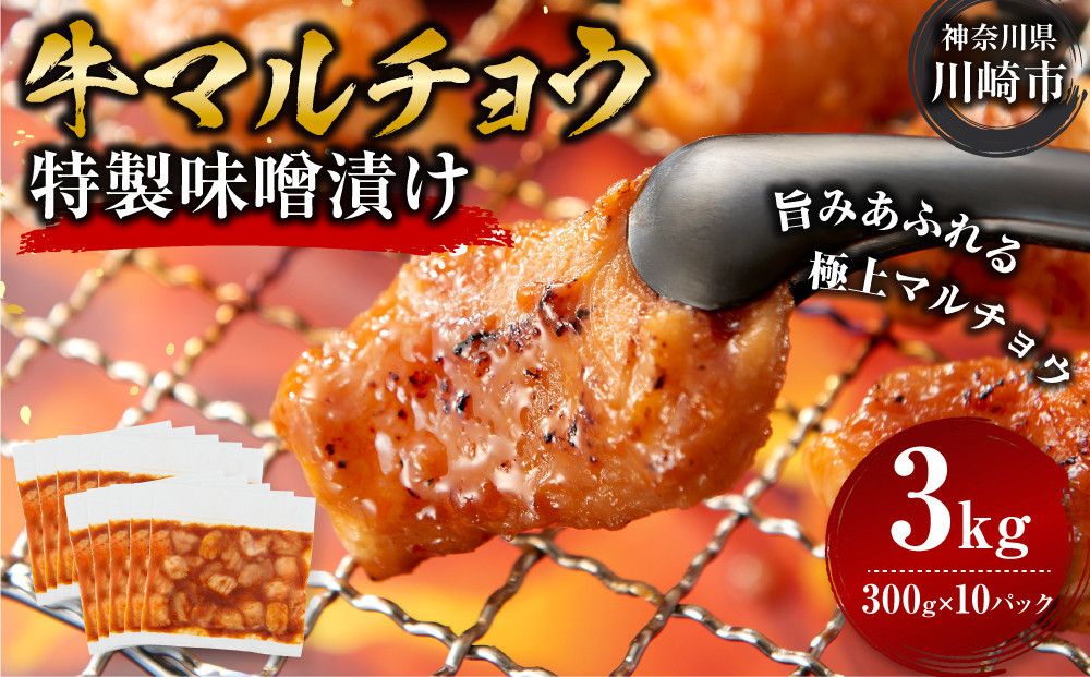 [訳アリ]牛マルチョウ 特製味噌漬け 3kg(300g×10)[2026年10月発送] 141305_KZ34VC10
