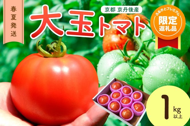 �y���s�{���O��s�z�y�ӂ�v������i�z�y���ʊ񕍊z�z�y��s�\��z���O��Y ��ʃg�}�g 1kg�ȏ� �t�Ĕ����i2026�N5�����{�`�����j�@MY00013P