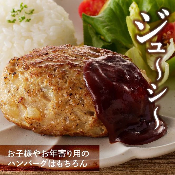 【宮崎ブランドポーク】豚ミンチ1kg N061-YA0452