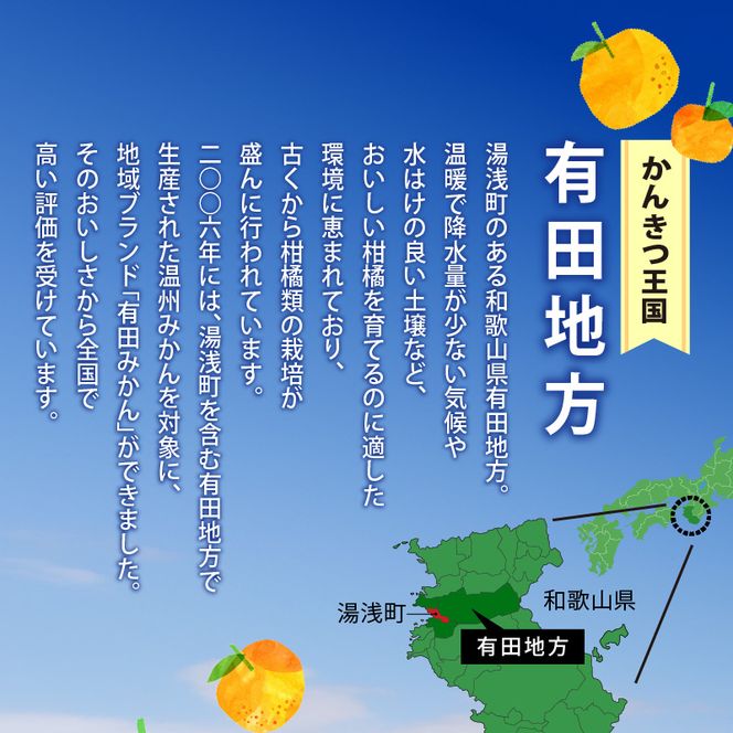 AB7041n_有田育ちの 河内晩柑 【訳あり 家庭用】3.5kg (サイズ混合)【ミカン 蜜柑 灘オレンジ サウスオレンジ 柑橘 フルーツ 和歌山 有田】