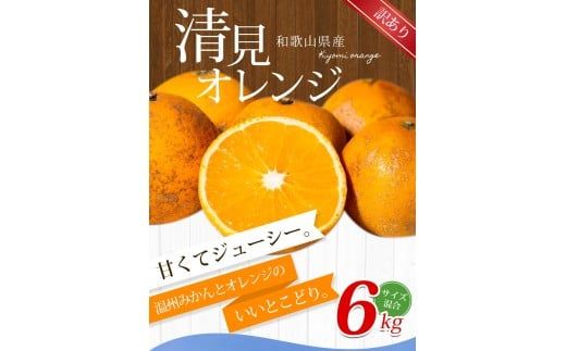 【訳あり】手選別 清見オレンジ 約6kg 和歌山県産 2S~2Lサイズ混合※2026年2月上旬～5月中旬頃に順次発送【mrmt024A】