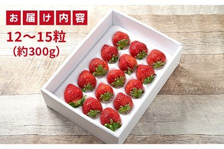 【先行予約】糸島産 あまおう ギフト 箱 ( 12-15粒 ) 【2024年12月上旬以降順次発送】 《糸島》【南国フルーツ株式会社】