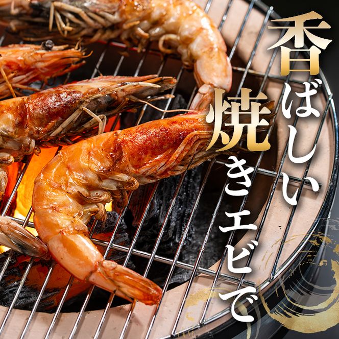 薩摩橙王エビ(4尾入×2パック) 国産 鹿児島県産 阿久根市産 えび 海老 魚貝類 魚介類 海産物 養殖 冷凍 期間限定 数量限定 焼き海老 焼きエビ バナメイエビ シロアシエビ 生食可 【リージョナルフィッシュ株式会社】akn105-01