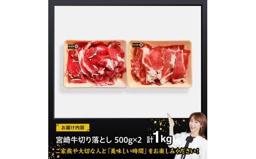 牛肉 宮崎 牛切り落とし 1kg 【 肉 牛肉 国産 九州産 宮崎県産 黒毛和牛 和牛 切り落とし 小分け 】 [D11419]