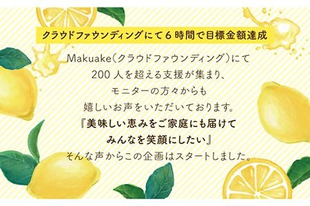 糸島 レモン チーズ ケーキ ( 桐箱 入り / リネン バック 付き )《糸島》【株式会社EARTH】[ADI001]