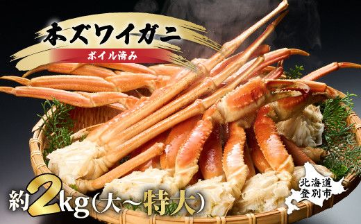 時期が選べる 殻付き 本ずわいがに 肩脚 2kg | ギフト 2026