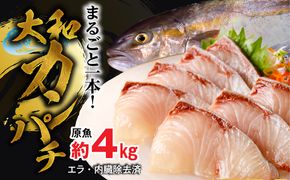 まるごと一本！大和カンパチ 原魚約4kg N072-YC817