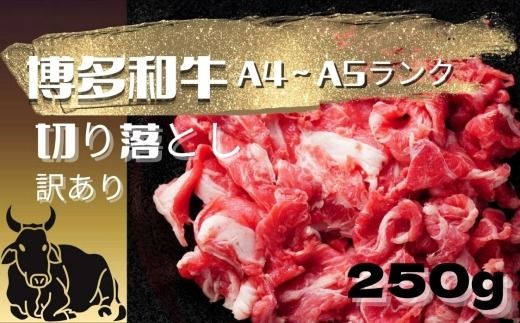 【 訳あり 】 博多和牛A4ランク以上 切り落とし 約250g お肉 肉 ニク にく 牛肉 牛 博多和牛 和牛 バラ バラ肉 赤身