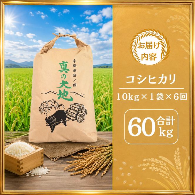 定期便 令和8年産 京都丹波産 コシヒカリ 10kg 6回 京都 お米 米 令和8年 10キロ 新米 新米26