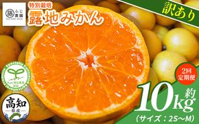 【2回定期便】みかん ふじ農園の露地みかん 訳あり品 10kg(2S～M) 5kg×2箱 計10kg 国産 小玉 蜜柑 ミカン 柑橘 果物 フルーツ 訳アリ ご家庭用 自宅用 ふじ農園 高知県 香南市 Wfn-0023