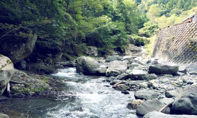 【お試し用】【幻の珍味】「黄金いくら」１本セット（ヤマメの卵醤油漬け） いくら イクラ 魚卵 小分け　数量限定 旬 人気 贈答 美味しい ヤマメ 鱒 冷凍 お取り寄せ