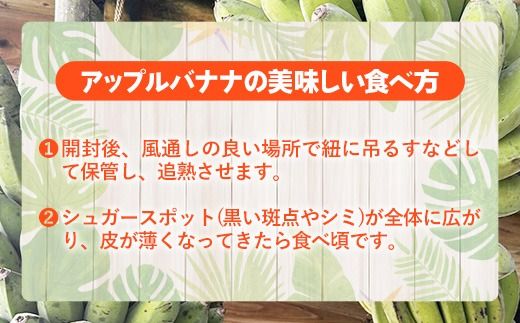 国産 希少種！南国フーズのアップルバナナ 約3kg - バナナ ばなな 小ぶり 沖縄県 産地直送 果物 フルーツ 南国 朝食 おすすめ 沖縄県 八重瀬町