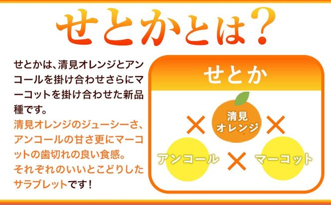 【先行予約】【家庭用 訳あり】とろける食感!ジューシー柑橘 せとか 約3kg 約5kg 株式会社魚鶴 《2026年2月上旬-3月中旬頃出荷》 和歌山県 日高川町 みかん 柑橘 果物 フルーツ 送料無料---wshg_uot106_2j3c_25_11000_3kg---