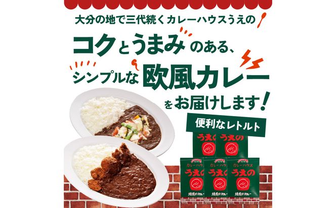 【K03043】九州クラフト うえの焙煎ビーフカレー レトルト 5袋