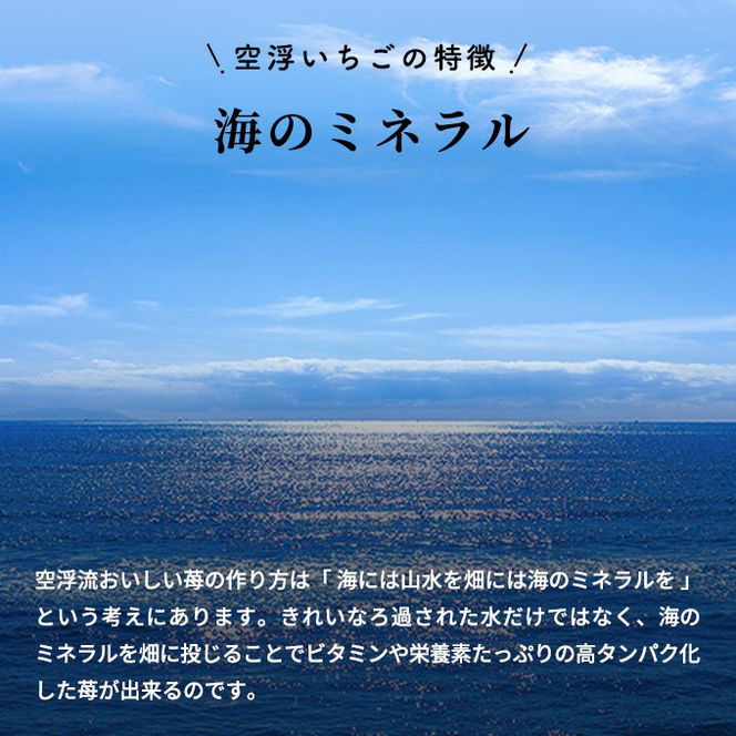 空浮いちご 4パック「北海道・沖縄・離島へのお届け不可」 果物 フルーツ 香川県産 ハウス育ち デザート おやつ 食後 お菓子作り ケーキ作り 
