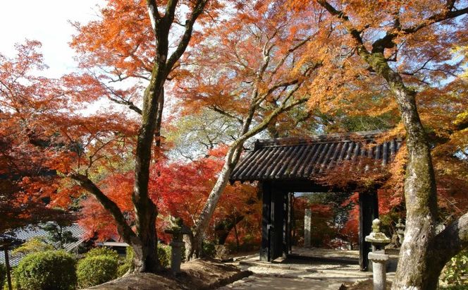 福岡県朝倉市　日本旅行　地域限定旅行クーポン300,000円分 チケット 