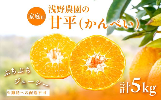 【先行予約】【数量限定】【家庭用】浅野農園の甘平（かんぺい）計5kg ※離島への配送不可（2027年2月中旬頃より順次発送予定）IKTAC027