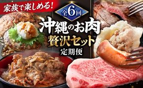 【全6回定期便】家族で満喫！沖縄のお肉贅沢セット【沖縄市】ハンバーグ あぐー 石垣牛 ステーキ 焼肉 冷凍 ギフト お取り寄せ 沖縄市 / お肉屋本店 / 豚々茶舗 / TESIO / 肉のサブロー[BCZZ034]