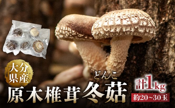 【F07040】冷凍 原木しいたけ（冬菇）1kg