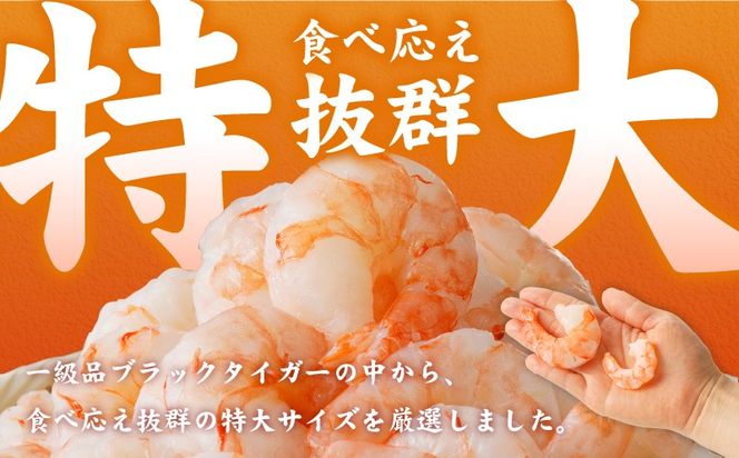 kgpZ011 【定期便】銀鮭切り身 1kg＆特大ブラックタイガー 500g【海鮮 お弁当 むきえび 簡単調理 背ワタなし 訳あり サイズ不揃い 2026年2月＆5月発送 全2回】