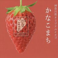 77-3178　「先行予約」大粒厳選　神奈川県新品種「かなこまち」　一口では食べきれない　完熟イチゴ　苺　２パック入り　　〈出荷時期：2025年1月7日出荷開始～2025年3月14日出荷終了〉【 いちご イチゴ 完熟 贈答用 贈答品 家庭用 自宅用 神奈川県 小田原市 】