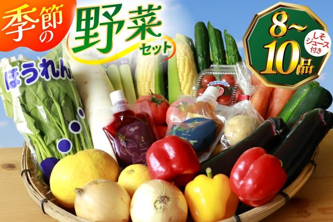 AJ314 季節の野菜・果物セット 8～10品 しそジュース付き [ 野菜 詰合せ 長崎県 島原市 ]